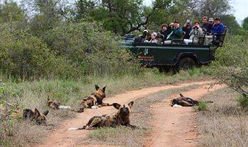 Motswari Private Game Reserve - Timbavati Klaserie Természetvédelmi Magánrezervátum Kültér fotó