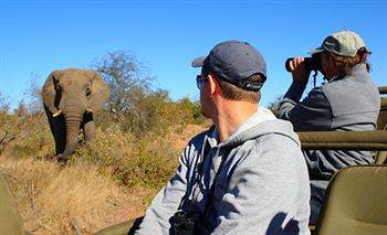 Motswari Private Game Reserve - Timbavati Klaserie Természetvédelmi Magánrezervátum Kültér fotó