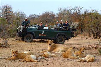 Motswari Private Game Reserve - Timbavati Klaserie Természetvédelmi Magánrezervátum Kültér fotó