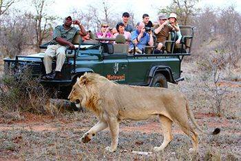 Motswari Private Game Reserve - Timbavati Klaserie Természetvédelmi Magánrezervátum Kültér fotó