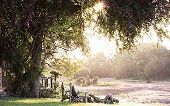 Motswari Private Game Reserve - Timbavati Klaserie Természetvédelmi Magánrezervátum Kültér fotó